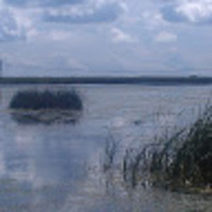 Meet your Posher, Jose